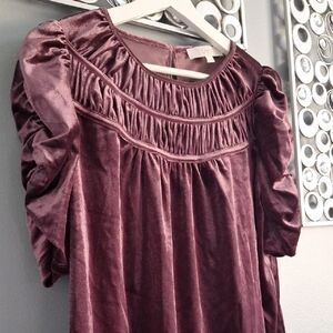 LOFT Velvet Blouse in Deep Purple